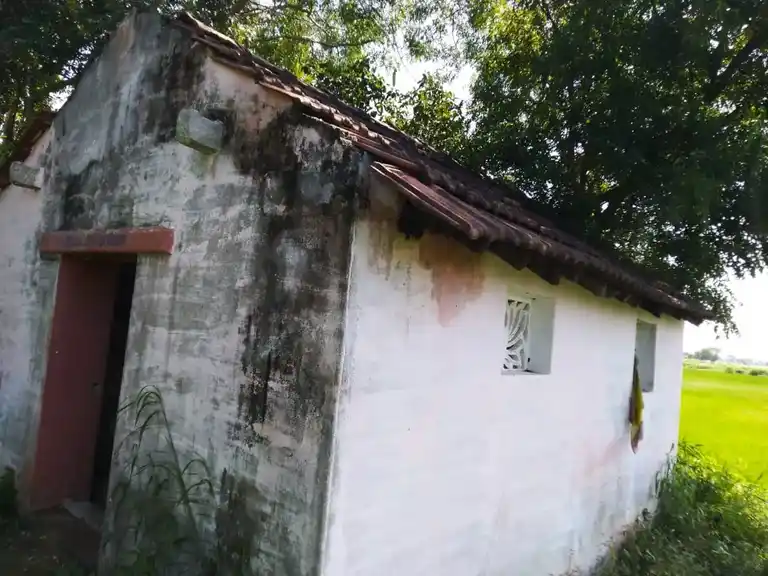 Arulmigu Pedariyaman Temple, Advangudi - 610104 அருள்மிகு பிடாரியம்மன் திருக்கோயில், Advangudi - 610104, Thiruvarur - Ancient Temple Architecture and History Image 4