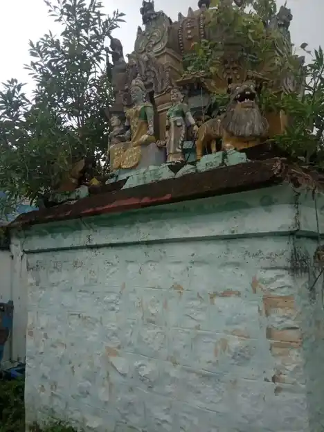 Arulmigu Pedariyamman Group Of Temple, Sevur - 606105 அருள்மிகு பிடாரி வகையறா திருக்கோயில், Sevur - 606105, Cuddalore - Ancient Temple Architecture and History Image 4
