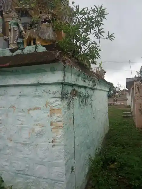 Arulmigu Pedariyamman Group Of Temple, Sevur - 606105 அருள்மிகு பிடாரி வகையறா திருக்கோயில், Sevur - 606105, Cuddalore - Ancient Temple Architecture and History Image 5