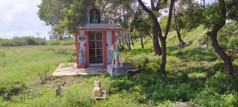 Arulmigu Pedariyamman Temple, Near Eb Power Office, Deviyakurichi - 636112 அருள்மிகு &nbsp;பிடாரியம்மன் திருக்கோவில், Near Eb Power Office, தேவியக்குறிச்சி - 636112, Salem - Ancient Temple Architecture and History Image 4