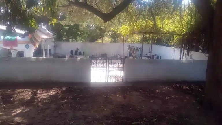 Arulmigu Pedariyar Temple, Kattupiringiyam - 621704 அருள்மிகு பிடாரியார் திருக்கோயில், காட்டுபிரிங்கியம் - 621704, Ariyalur - Ancient Temple Architecture and History Image 3