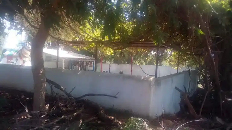 Arulmigu Pedariyar Temple, Kattupiringiyam - 621704 அருள்மிகு பிடாரியார் திருக்கோயில், காட்டுபிரிங்கியம் - 621704, Ariyalur - Ancient Temple Architecture and History Image 4