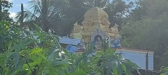 Arulmigu Pennagatheeswarar & Varasithi Vinayagar Temple, Vangoor - 631001