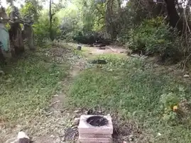 Arulmigu Peraludaiya Ayyanar Temple, Thirukkalampur - 622403
