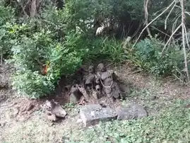 Arulmigu Peraludaiya Ayyanar Temple, Thirukkalampur - 622403 அருள்மிகு பேராளுடைய அய்யனார் திருக்கோயில், Thirukkalampur - 622403, Pudukkottai - Ancient Temple Architecture and History Image 3