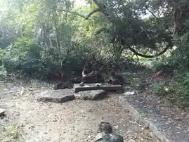 Arulmigu Peraludaiya Ayyanar Temple, Thirukkalampur - 622403 அருள்மிகு பேராளுடைய அய்யனார் திருக்கோயில், Thirukkalampur - 622403, Pudukkottai - Ancient Temple Architecture and History Image 4