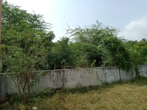 Arulmigu Peramanar Ayyanar Temple, Nadukkaveri - 613101