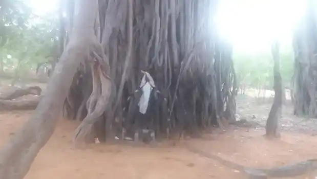 Arulmigu Peria Samy Iyyanar Temple, Nainarpuram - 628617
