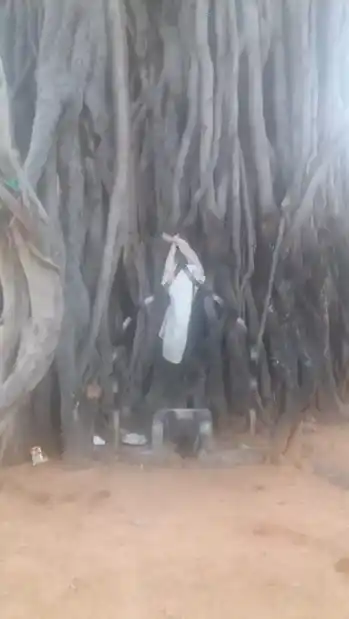 Arulmigu Peria Samy Iyyanar Temple, Nainarpuram - 628617 அருள்மிகு பெரியசாமி ஐயனார் திருக்கோயில், Nainarpuram - 628617, Thoothukudi - Ancient Temple Architecture and History Image 3