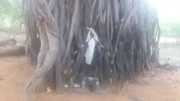 Arulmigu Peria Samy Iyyanar Temple, Nainarpuram - 628617 அருள்மிகு பெரியசாமி ஐயனார் திருக்கோயில், Nainarpuram - 628617, Thoothukudi - Ancient Temple Architecture and History Image 4