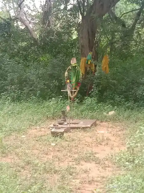 Arulmigu Periandavar Temple, Ammapatty - 624622 அருள்மிகு பெரியாண்டவர் திருக்கோவில், Ammapatty - 624622, Dindigul - Ancient Temple Architecture and History Image 5