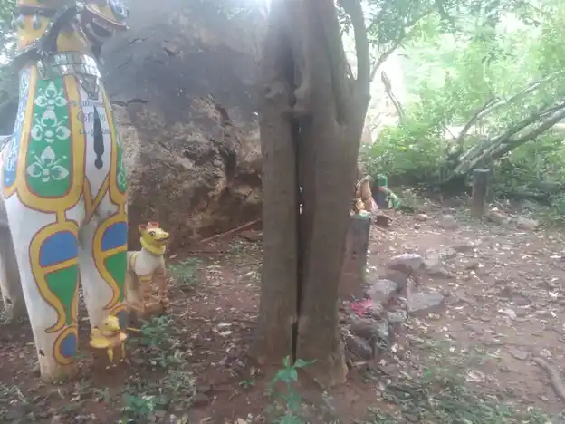 Arulmigu Periya Kannimar Temple, Endappuli - 621306 Arulmigu Periya Kannimar Temple, Endappuli - 621306, Thiruchirappalli - Ancient Temple Architecture and History Image 3