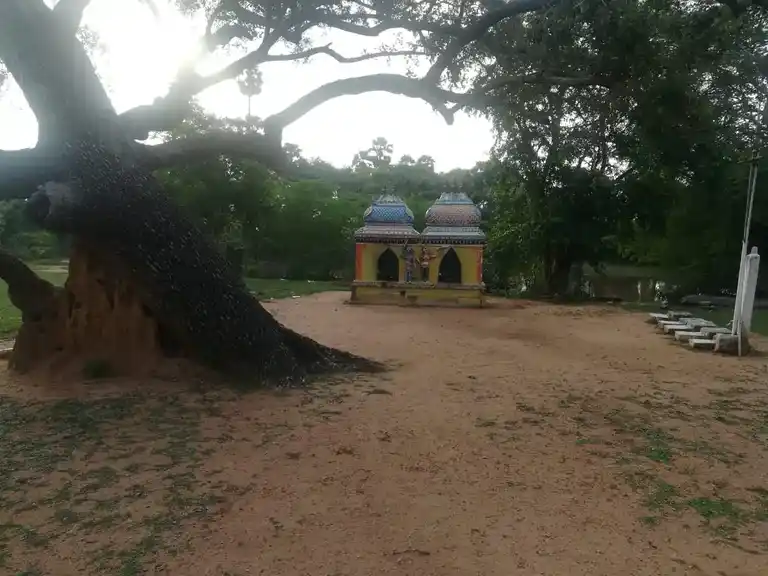 Arulmigu Periya Karuppar Sinna Karuppar Temple, Kanadukaththan - 630103 Arulmigu Periya Karuppar Sinna Karuppar Temple, Kanadukaththan - 630103, Sivagangai - Ancient Temple Architecture and History Image 2