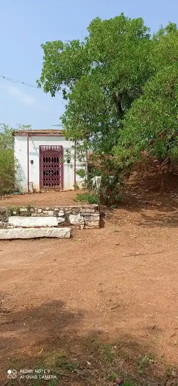Arulmigu Periya Kulam Sastha Temple, Ottapidaram - 628401 அருள்மிகு பெரிய குளம் சாஸ்தா திருக்கோயில், Ottapidaram - 628401, Thoothukudi - Ancient Temple Architecture and History Image 2