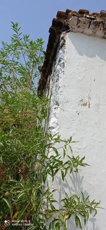 Arulmigu Periya Kulam Sastha Temple, Ottapidaram - 628401 அருள்மிகு பெரிய குளம் சாஸ்தா திருக்கோயில், Ottapidaram - 628401, Thoothukudi - Ancient Temple Architecture and History Image 3