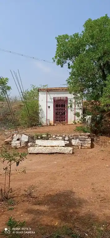 Arulmigu Periya Kulam Sastha Temple, Ottapidaram - 628401 அருள்மிகு பெரிய குளம் சாஸ்தா திருக்கோயில், Ottapidaram - 628401, Thoothukudi - Ancient Temple Architecture and History Image 4