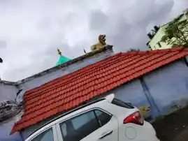 Arulmigu Periya Mariyamman Temple, Pethanaickenpalayam - 636117 Arulmigu Periya Mariyamman Temple, பெத்தநாய்க்கன்பாளையம் - 636117, Salem - Ancient Temple Architecture and History Image 2