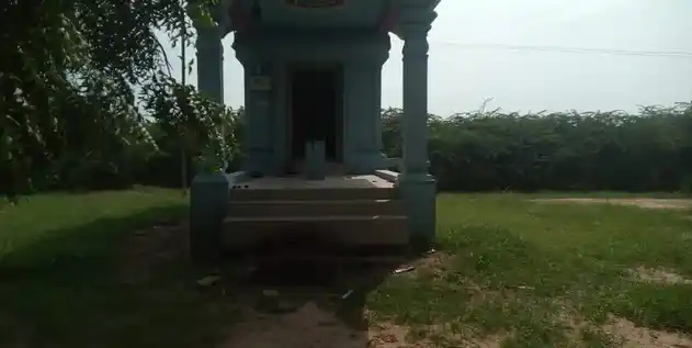 Arulmigu Periya Nayagiamman Temple, Pakanoor - 623308 அருள்மிகு. பெரிய நாயகியம்மன் திருக்கோயில், Pakanoor - 623308, Ramanathapuram - Ancient Temple Architecture and History Image 2