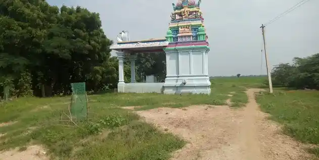 Arulmigu Periya Nayagiamman Temple, Pakanoor - 623308 அருள்மிகு. பெரிய நாயகியம்மன் திருக்கோயில், Pakanoor - 623308, Ramanathapuram - Ancient Temple Architecture and History Image 3