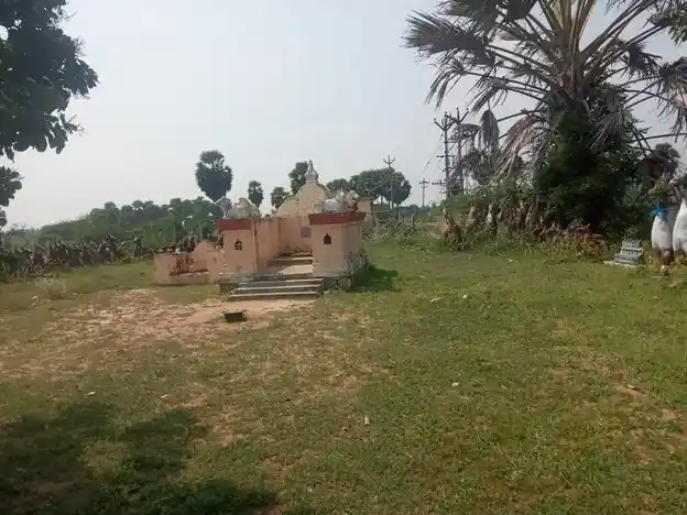 Arulmigu Periya Nayinaar Temple, Thinaiyakudi - 614630