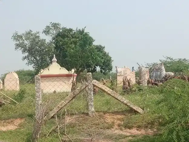 Arulmigu Periya Nayinaar Temple, Thinaiyakudi - 614630 அருள்மிகு பெரியநயினார் திருக்கோயில், Thinaiyakudi - 614630, Pudukkottai - Ancient Temple Architecture and History Image 9