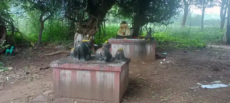 Arulmigu Periya Seguttu Ayyanar Temple, Vandari - 625705