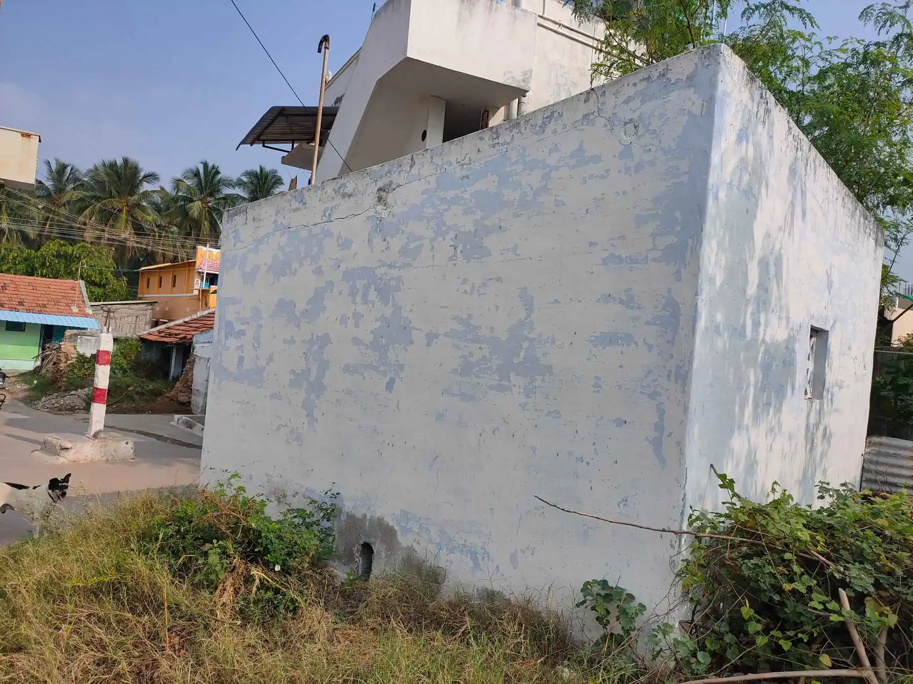 Arulmigu Periya Vinayagar Temple, Pachapalayam, Palladam - 641664 அருள்மிகு பெரியவிநாயகர் திருக்கோயில், Pachapalayam, Palladam - 641664, Tiruppur - Ancient Temple Architecture and History Image 7