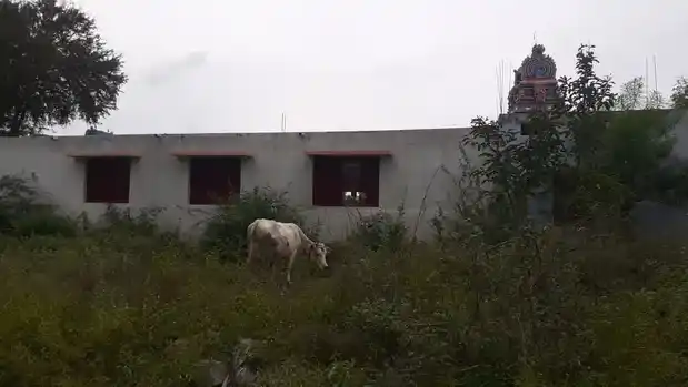 Arulmigu Periyakka Temple, Valikandapuram - 621115 அருள்மிகு பெரியக்கா திருக்கோயில், Valikandapuram - 621115, Perambalur - Ancient Temple Architecture and History Image 2