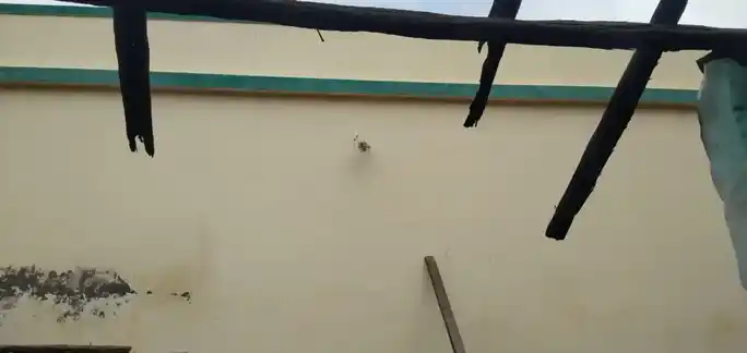 Arulmigu Periyakkandiyamman Temple, Vadhiyam - 639105 அருள்மிகு பெரியகாண்டியம்மன் திருக்கோயில், Vadhiyam - 639105, Karur - Ancient Temple Architecture and History Image 3