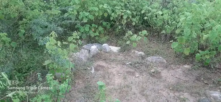 Arulmigu Periyakulakarai Kannimaar Temple, Madur - 624306 Arulmigu Periyakulakarai Kannimaar Temple, Madur - 624306, Dindigul - Ancient Temple Architecture and History Image 2