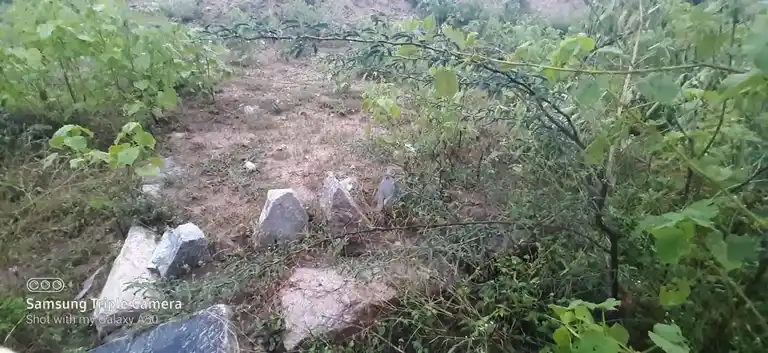 Arulmigu Periyakulakarai Kannimaar Temple, Madur - 624306 Arulmigu Periyakulakarai Kannimaar Temple, Madur - 624306, Dindigul - Ancient Temple Architecture and History Image 3