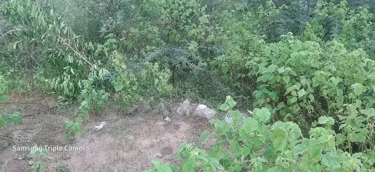 Arulmigu Periyakulakarai Kannimaar Temple, Madur - 624306 Arulmigu Periyakulakarai Kannimaar Temple, Madur - 624306, Dindigul - Ancient Temple Architecture and History Image 4