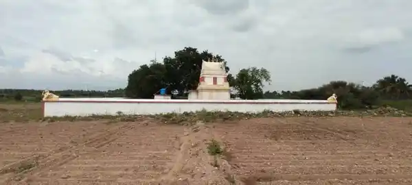 Arulmigu Periyanachiamman Temple, Kethalrevu - 638657 அருள்மிகு பெரியநாச்சியம்மன் திருக்கோயில், Kethalrevu - 638657, Tiruppur - Ancient Temple Architecture and History Image 3