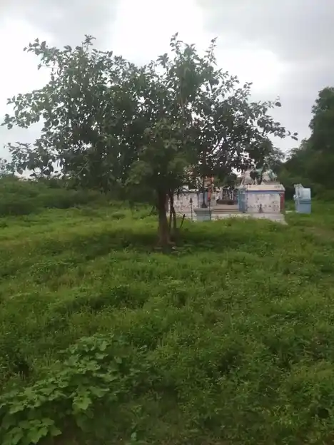 Arulmigu Periyanaswamy Temple, Evoor - 621202 Arulmigu Periyanaswamy Temple, Evoor - 621202, Thiruchirappalli - Ancient Temple Architecture and History Image 4