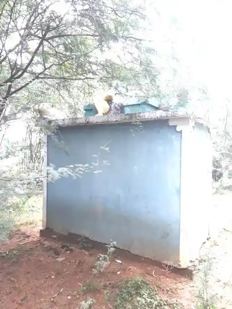 Arulmigu Periyanayaki Amman Temple, Sinnapottakkadu - 621701 அருள்மிகு பெரியநாயகி அம்மன் திருக்கோயில், Sinnapottakkadu - 621701, Ariyalur - Ancient Temple Architecture and History Image 3