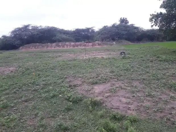 Arulmigu Periyandavar Temple, Ayansuthamalli - 621804 அருள்மிகு பெரியாண்டவர் திருக்கோயில், Ayansuthamalli - 621804, Ariyalur - Ancient Temple Architecture and History Image 3