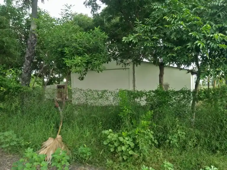 Arulmigu Periyandavar Temple, Ayanthathanoor - 621709