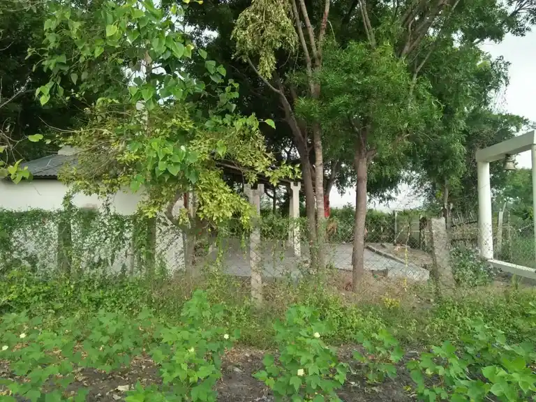 Arulmigu Periyandavar Temple, Ayanthathanoor - 621709 அருள்மிகு பெரியாண்டவர் திருக்கோயில், Ayanthathanoor - 621709, Ariyalur - Ancient Temple Architecture and History Image 2