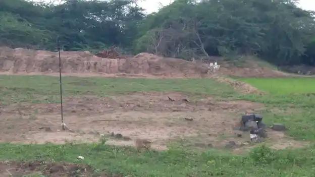 Arulmigu Periyandavar Temple, Erakudi - 621804 Temple
