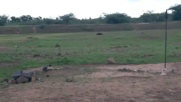 Arulmigu Periyandavar Temple, Erakudi - 621804 Arulmigu Periyandavar Temple, Erakudi - 621804, Ariyalur - Ancient Temple Architecture and History Image 2