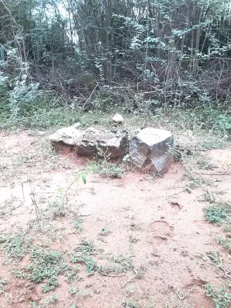 Arulmigu Periyandavar Temple, Keelakolathur - 621715 அருள்மிகு பெரியாண்டவர் திருக்கோயில், Keelakolathur - 621715, Ariyalur - Ancient Temple Architecture and History Image 2