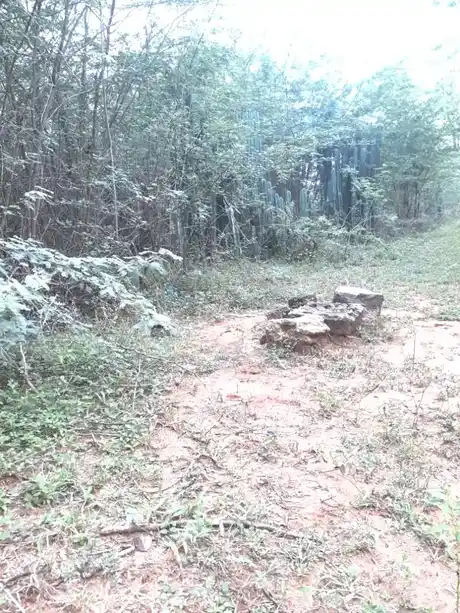 Arulmigu Periyandavar Temple, Keelakolathur - 621715 அருள்மிகு பெரியாண்டவர் திருக்கோயில், Keelakolathur - 621715, Ariyalur - Ancient Temple Architecture and History Image 3