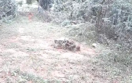 Arulmigu Periyandavar Temple, Keelakolathur - 621715 அருள்மிகு பெரியாண்டவர் திருக்கோயில், Keelakolathur - 621715, Ariyalur - Ancient Temple Architecture and History Image 4