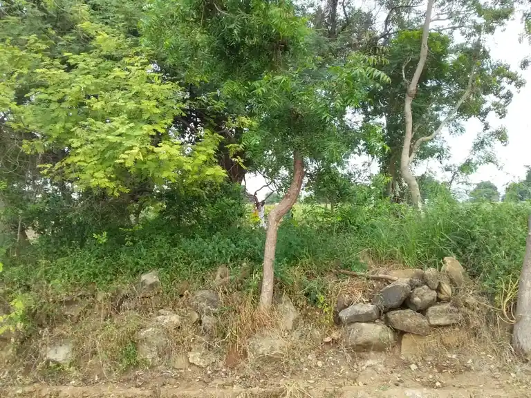 Arulmigu Periyandavar Temple, Koothur - 621713 அருள்மிகு பெரியாண்டவர் திருக்கோயில், Koothur - 621713, Perambalur - Ancient Temple Architecture and History Image 3