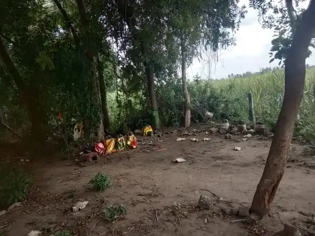 Arulmigu Periyandavar Temple, Pattur - 606105 Arulmigu Periyandavar Temple, Pattur - 606105, Cuddalore - Ancient Temple Architecture and History Image 2