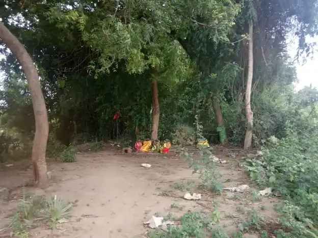 Arulmigu Periyandavar Temple, Pattur - 606105 Arulmigu Periyandavar Temple, Pattur - 606105, Cuddalore - Ancient Temple Architecture and History Image 3