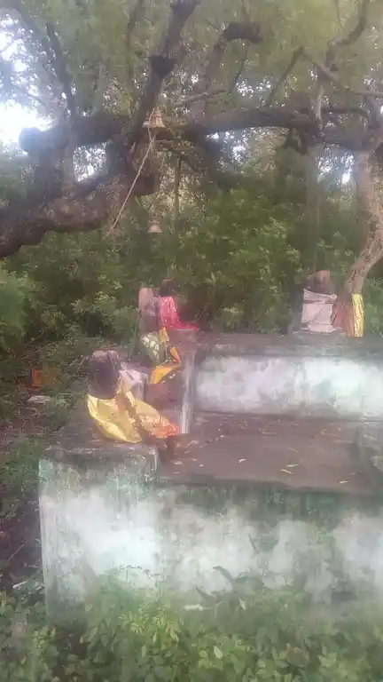 Arulmigu Periyandavar Temple, Sannasinallur - 621730 Arulmigu Periyandavar Temple,  - 621730, Ariyalur - Ancient Temple Architecture and History Image 4