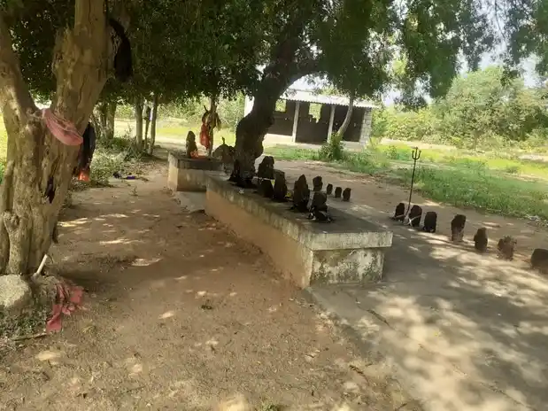 Arulmigu Periyandavar Temple, Sirukadambur - 621716 அருள்மிகு பெரியாண்டவர் திருக்கோயில், சிறுகடம்பூர் - 621716, Ariyalur - Ancient Temple Architecture and History Image 2