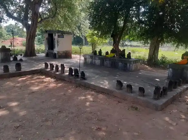 Arulmigu Periyandavar Temple, Sirukadambur - 621716 அருள்மிகு பெரியாண்டவர் திருக்கோயில், சிறுகடம்பூர் - 621716, Ariyalur - Ancient Temple Architecture and History Image 3