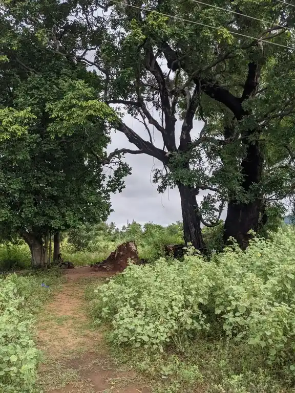Arulmigu Periyandavar Temple, Thazhugai - 621008 Arulmigu Periyandavar Temple, Thanjai - 621008, Thiruchirappalli - Ancient Temple Architecture and History Image 2